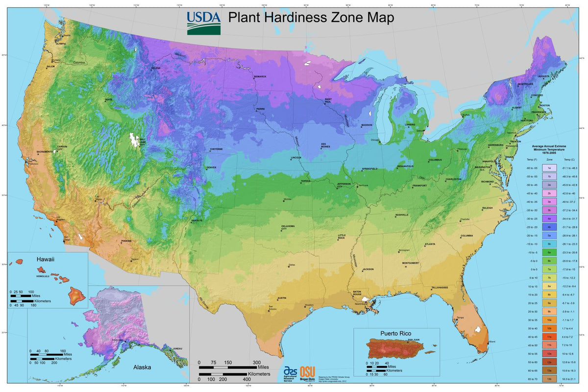 Understanding Hardiness Zones A Guide to Choosing Plants for Your Cli