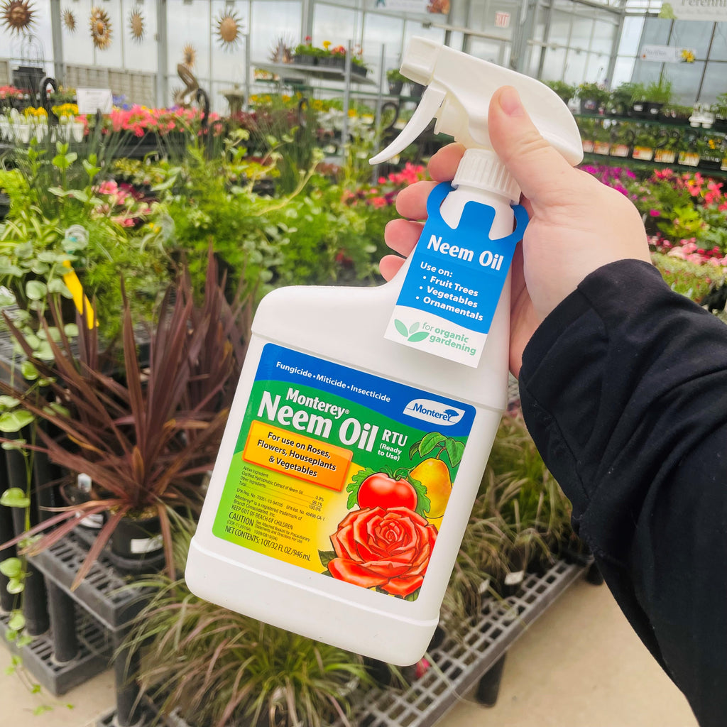 Neem Oil: A Versatile Pest Control Solution for Your Garden