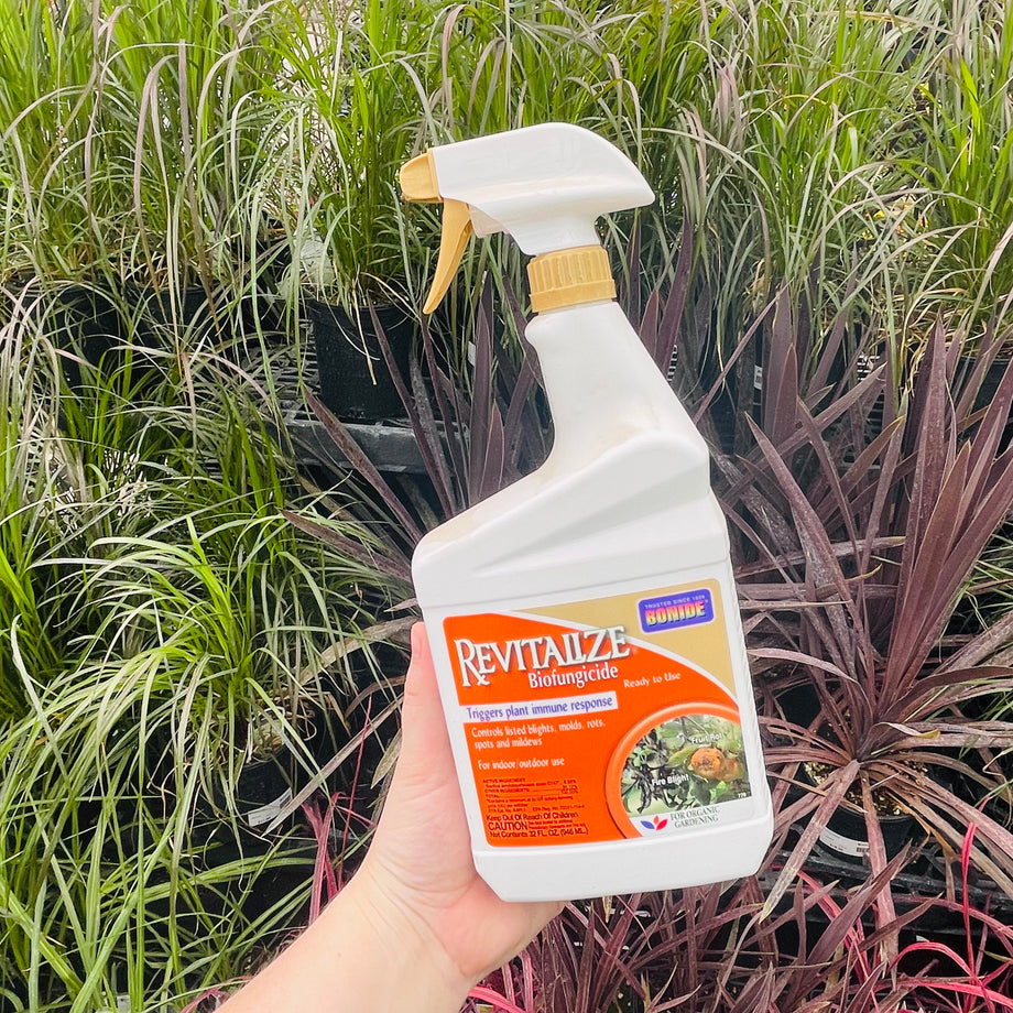 Disease & Pest Control  Magic Valley Gardens