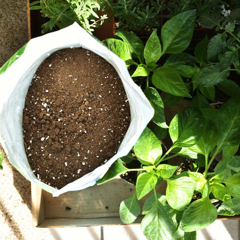Planting Media