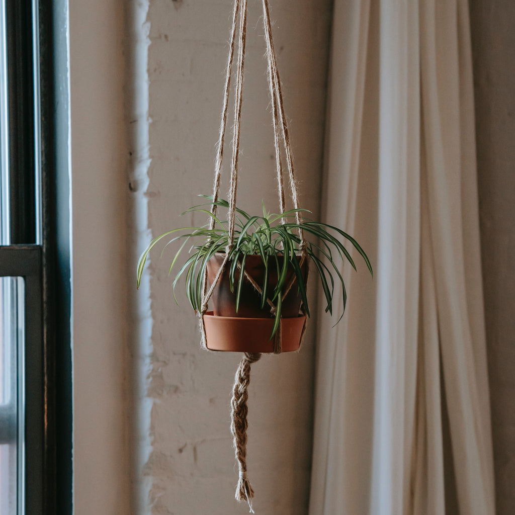 Plant Accessories