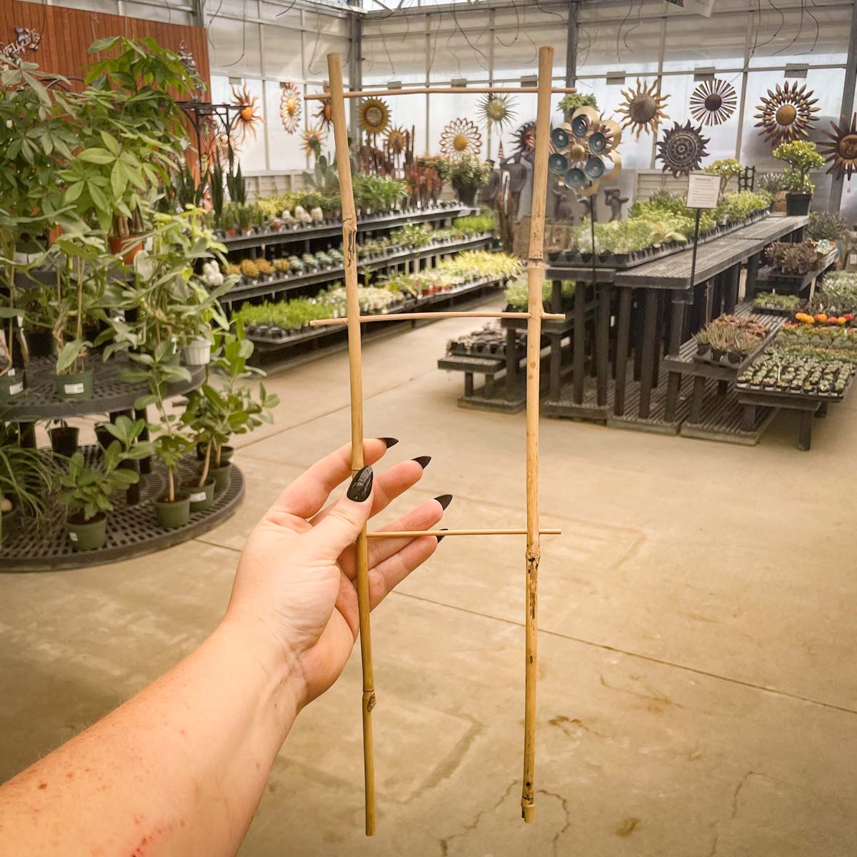 bamboo trellis for indoor plants Natural Bamboo Flair Trellis 18" – Magic Valley Gardens