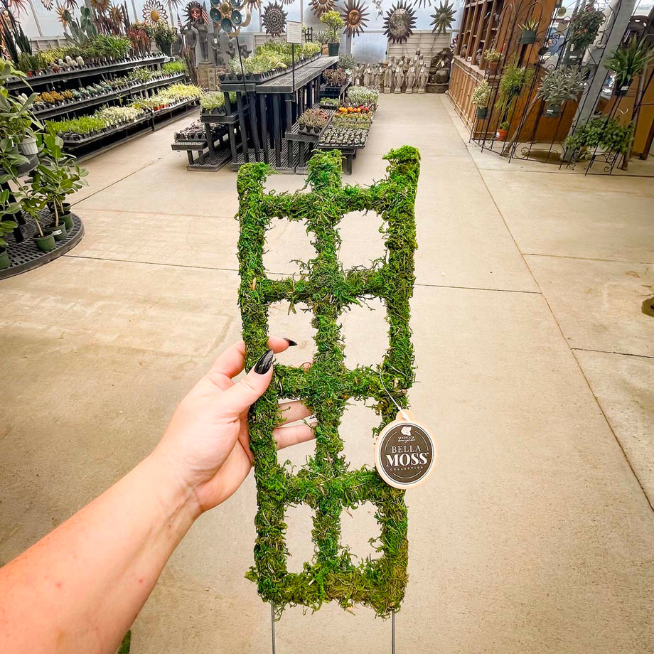 Syndicate Moss Trellis 18