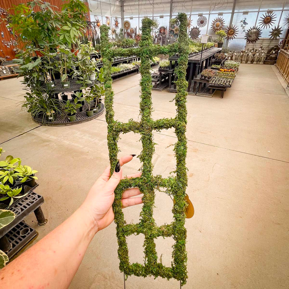 Syndicate Moss Trellis 26
