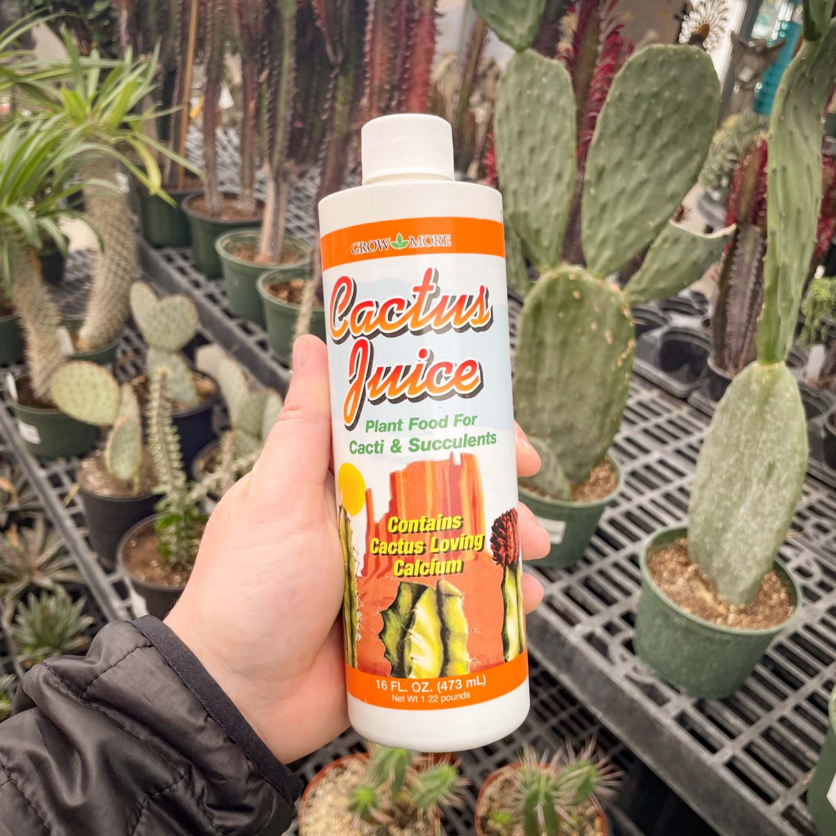 succulents food fertilizer Grow More Cactus Juice 1-7-6