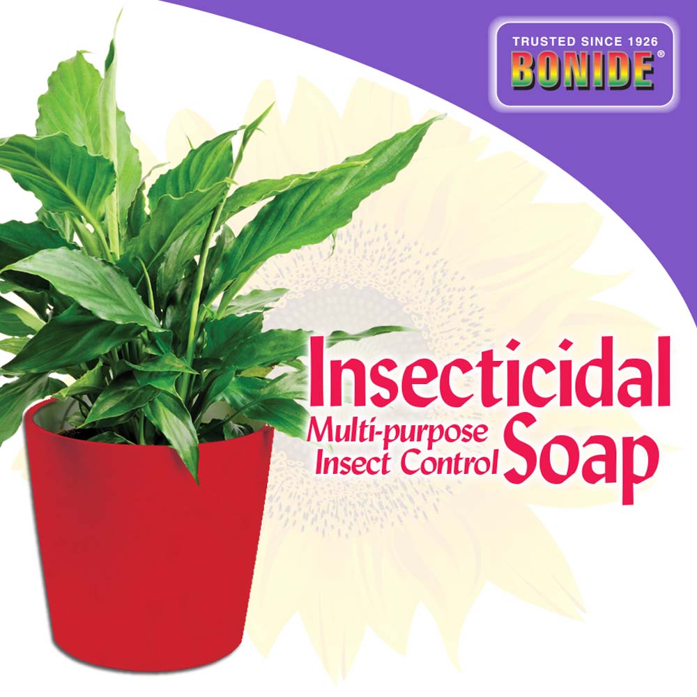 insecticidal soap for houseplants Bonide Insecticidal Soap Houseplant Spray, Ready-to-Use, 12 oz