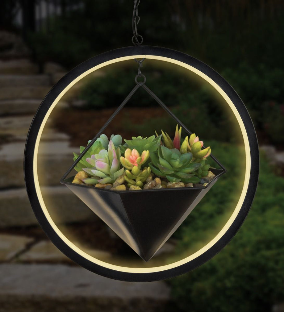succulent lantern Regal Art and Gift Hexagon Lumen Succulent Solar Lantern – Magic Valley Gardens
