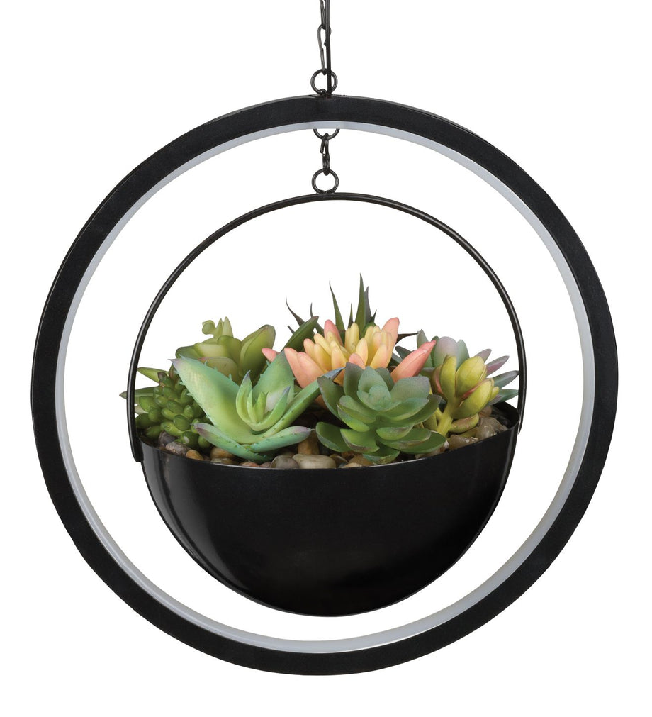 solar succulent Regal Art and Gift Round Lumen Succulent Solar Lantern