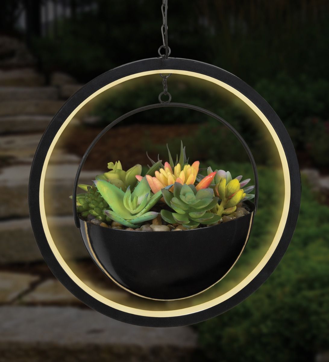 cute succulent lamp Regal Art and Gift Round Lumen Succulent Solar Lantern – Magic Valley Gardens