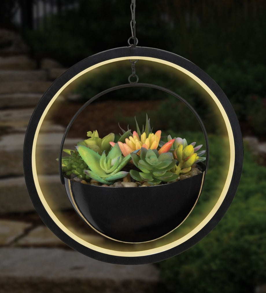 lights for succulents indoors Regal Art and Gift Round Lumen Succulent Solar Lantern – Magic Valley Gardens