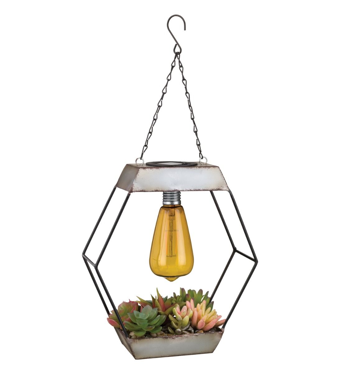 Regal Art And Gift Edison Diamond Succulent Solar Lantern Magic Regal art and gift edison diamond succulent solar lantern magic