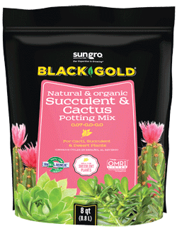desert potting mix Black Gold Cactus Potting Mix 8 Quarts