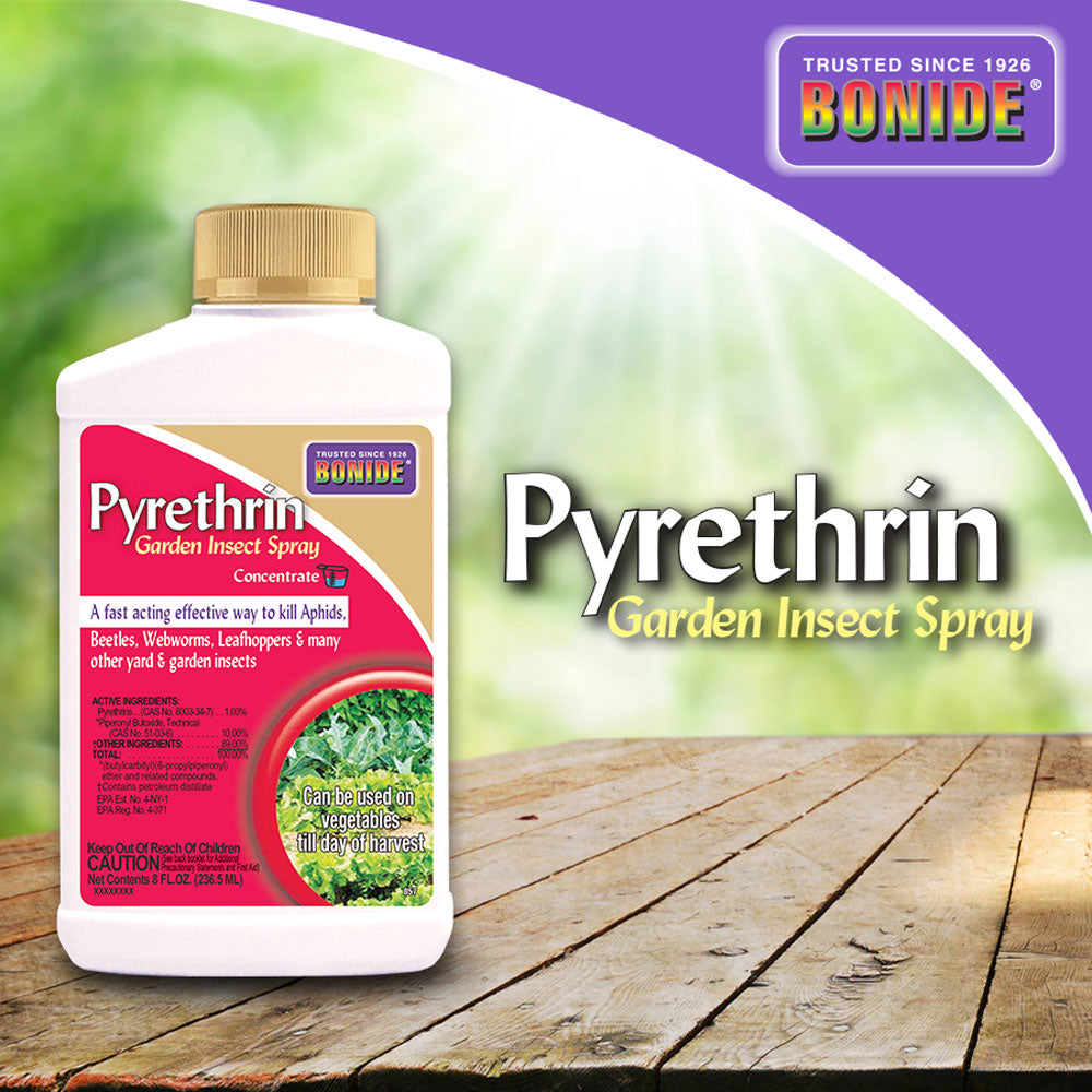 pyrethrin garden insect spray Bonide 8 Oz. Concentrate Pyrethrin Garden Insect Spray