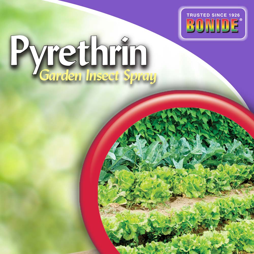 Bonide Pyrethrin Garden Spray, Concentrate, 8 oz. – Magic Valley Gardens