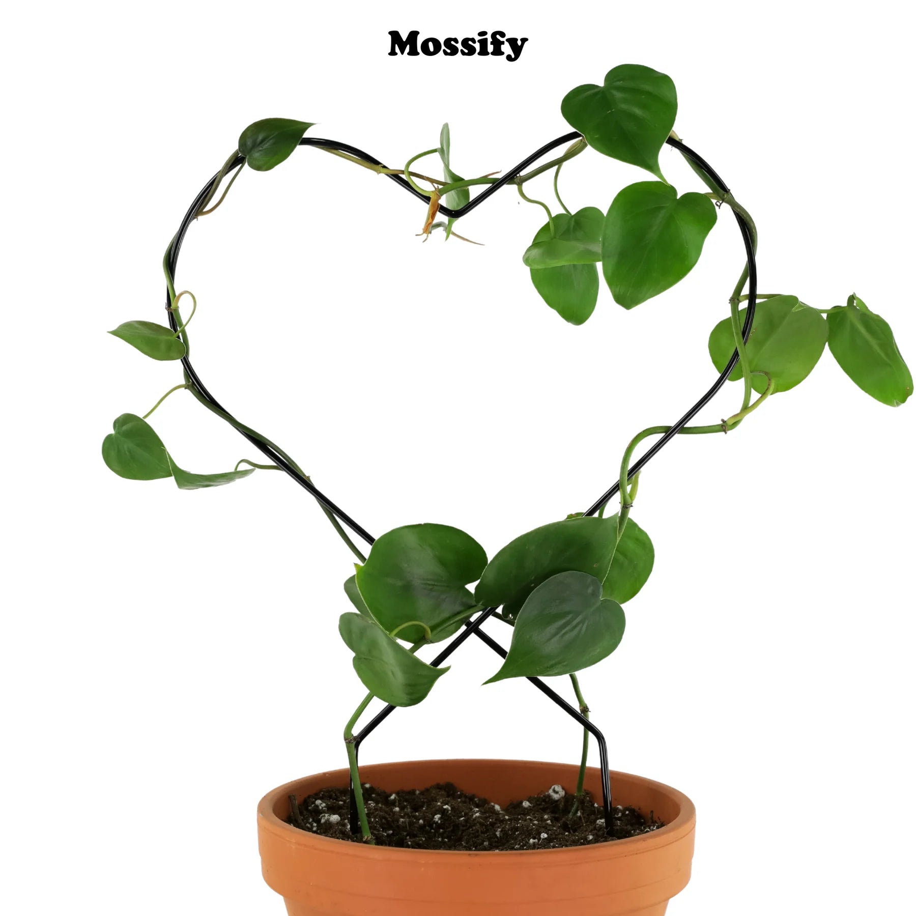 heart shaped plant trellis Heart Give Love Metal Trellis Pink