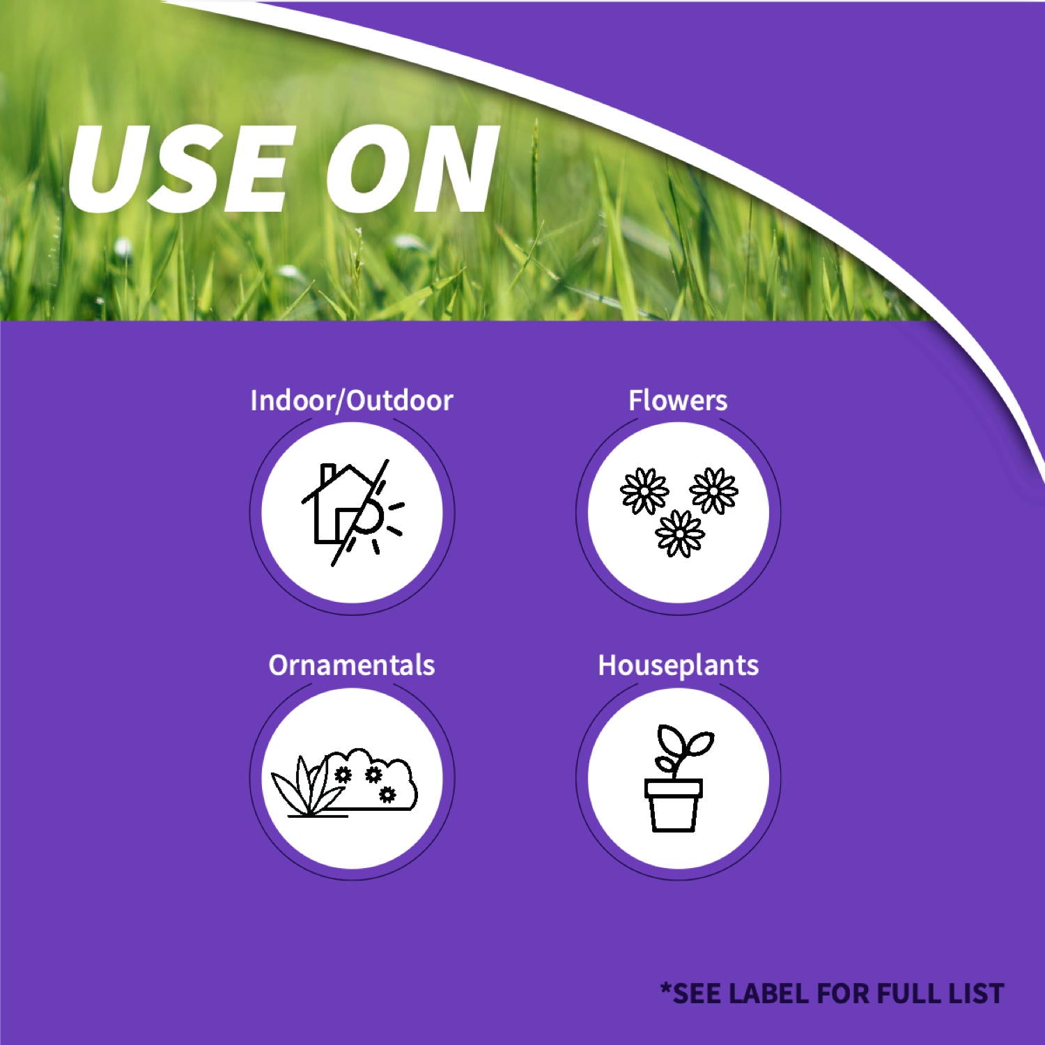 house plant insect control Systemic Houseplant Insect Control Bonide 8 oz