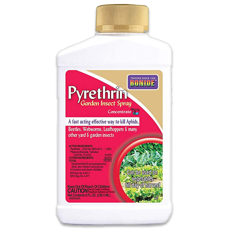 pyrethrin garden insect spray concentrate Bonide Pyrethrin Garden Spray, Concentrate, 8 oz