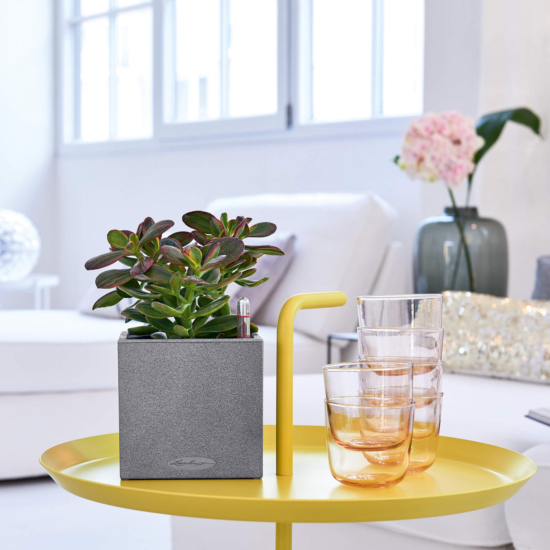 lechuza plant pots Lechuza CANTO Stone 14 Stone Gray