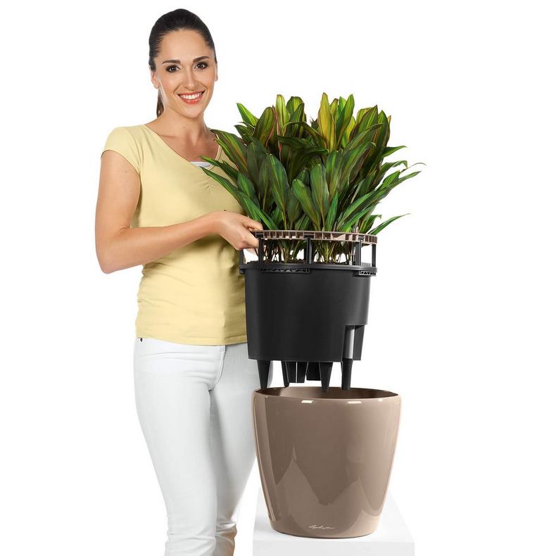 lechuza pots plants Lechuza Classico Premium 21 LS Planter