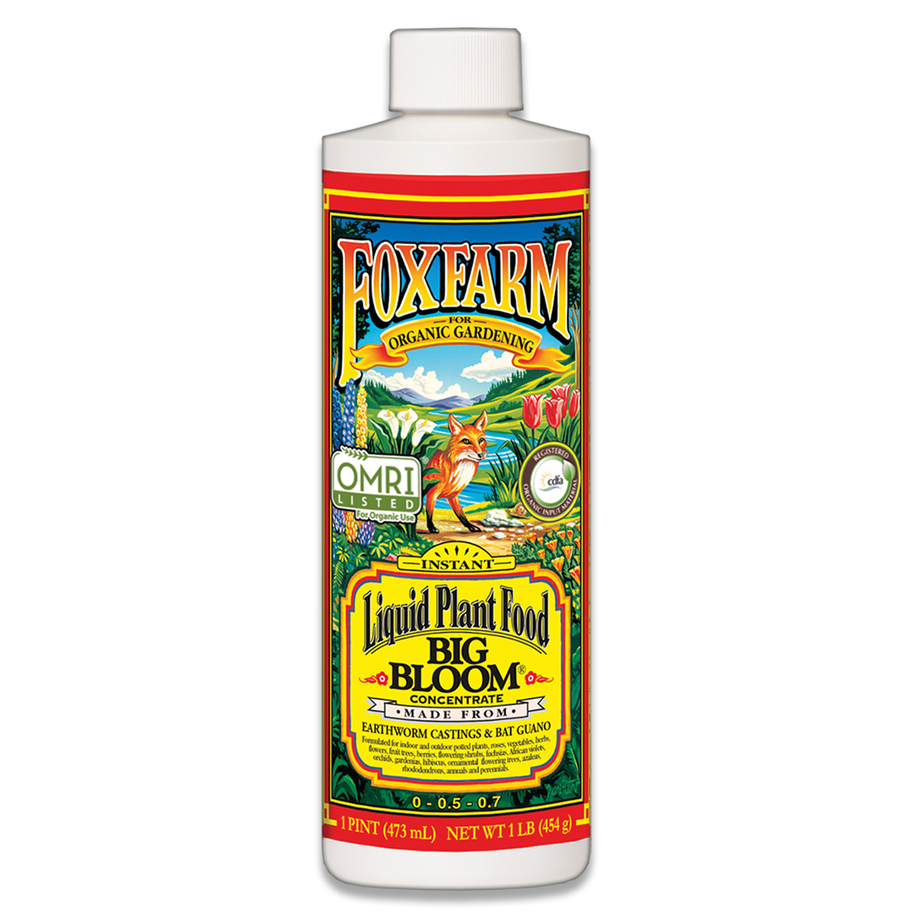 Big Bloom Liquid Plant Food Concentrate, 1 Pt