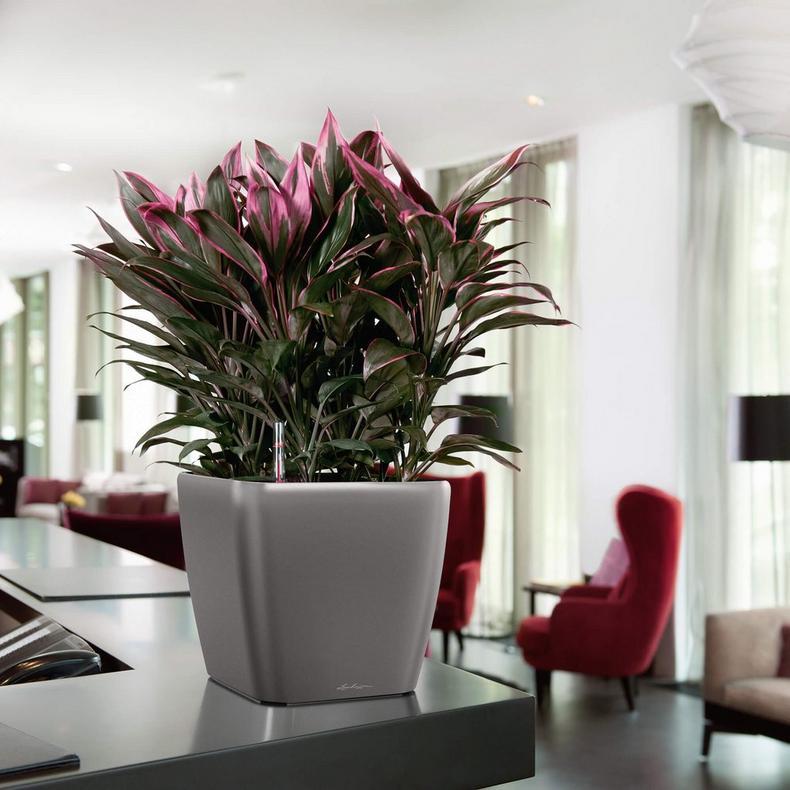 lechuza pots plants Lechuza Quadro Premium LS 28 Planter - Black