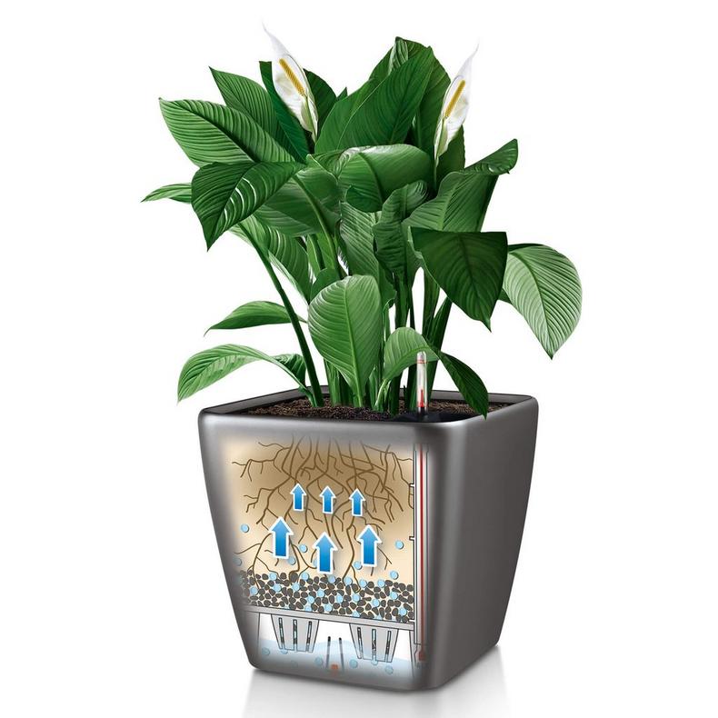 lechuza indoor planter Lechuza Quadro Premium LS 28 Planter - Black
